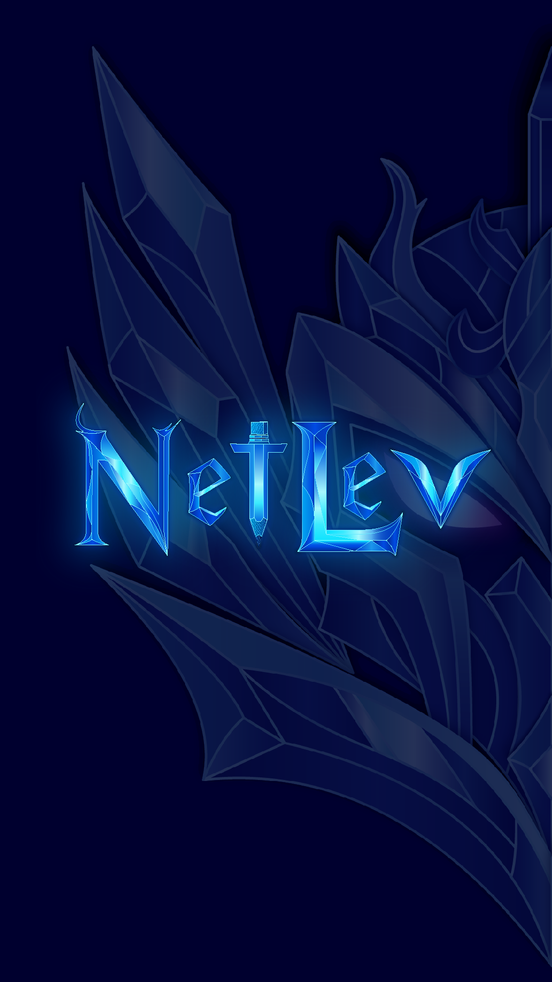 NetLev Proje Görseli